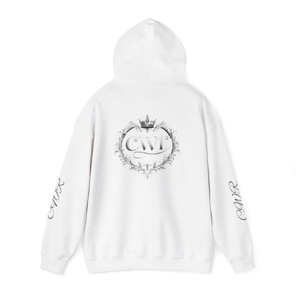 Did You Read Your Bible Today? Hoodie — Christian Faith Inspirational Sweatshirt