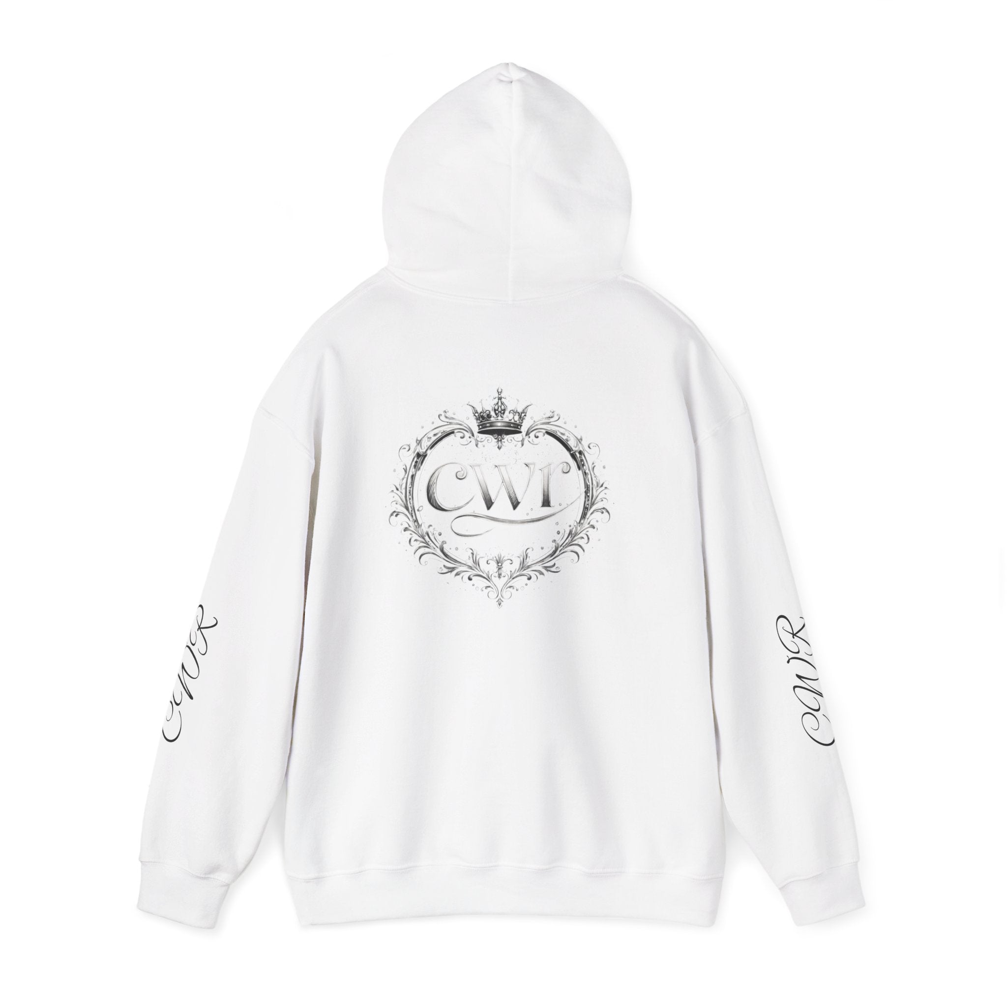 Did You Read Your Bible Today? Hoodie — Christian Faith Inspirational Sweatshirt